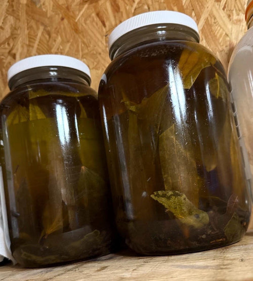 Contraband Bay Rum – After Sauce Splash 100ml / 3.38oz